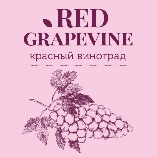 Напиток слабоалкогольный разливной Медовуха Красный виноград 5 об. Новосибирская область